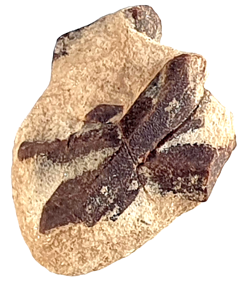 Formule : (Fe²⁺, Mg)₂Al₉O₃₄(SiO₄)₄(OH)₂